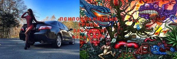 шишки Абдулино