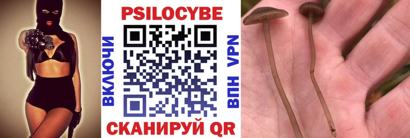 даркнет сайт  Уфа  Псилоцибиновые грибы GOLDEN TEACHER 