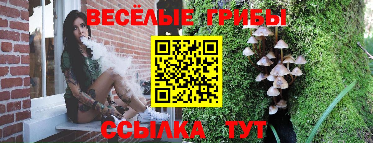 Галлюциногенные грибы мицелий Уфа